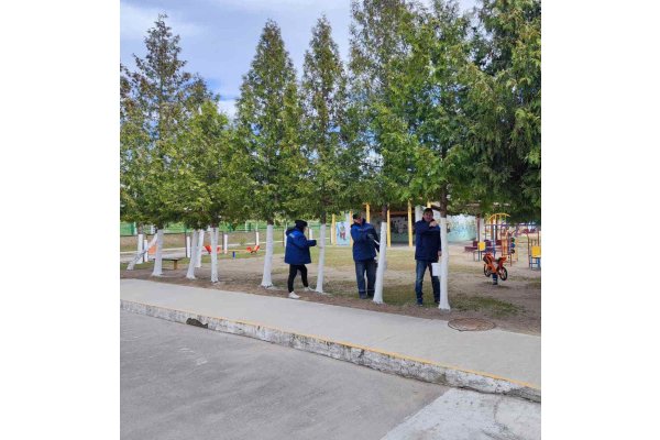 Субботник в учреждении дошкольного образования