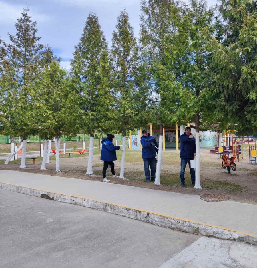 Субботник в учреждении дошкольного образования