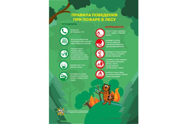 Правила поведения при пожаре в лесу